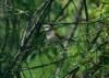 Filename=143_fotowilga~50.JPG
Filesize=274KB
Dimensions=700x500
Date added=Jan 04, 2019 143_fotowilga~50.JPG
