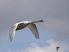 Filename=143_fotowilga~61.JPG
Filesize=194KB
Dimensions=700x525
Date added=Oct 04, 2019 143_fotowilga~61.JPG