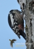 Filename=144_fotowilga~21.JPG
Filesize=74KB
Dimensions=339x480
Date added=Nov 02, 2015 144_fotowilga~21.JPG