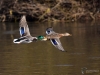 Filename=144_fotowilga~46.JPG
Filesize=237KB
Dimensions=700x525
Date added=Dec 01, 2017 144_fotowilga~46.JPG