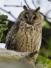 Filename=144_fotowilga~50.JPG
Filesize=248KB
Dimensions=525x700
Date added=Mar 19, 2018 144_fotowilga~50.JPG