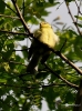 144_fotowilga~51.JPG