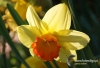 Filename=144_fotowilga~8.JPG
Filesize=107KB
Dimensions=720x493
Date added=May 16, 2014 144_fotowilga~8.JPG