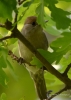 Filename=145_fotowilga~47.JPG
Filesize=232KB
Dimensions=499x700
Date added=Feb 03, 2019 145_fotowilga~47.JPG