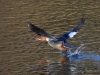 Filename=145_fotowilga~49.JPG
Filesize=299KB
Dimensions=700x525
Date added=Mar 24, 2019 145_fotowilga~49.JPG