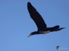 Filename=145_fotowilga~55.JPG
Filesize=184KB
Dimensions=700x525
Date added=Oct 22, 2019 145_fotowilga~55.JPG