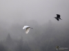 Filename=145_fotowilga~56.JPG
Filesize=164KB
Dimensions=700x525
Date added=Nov 17, 2019 145_fotowilga~56.JPG
