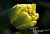 Filename=146_fotowilga~4.JPG
Filesize=237KB
Dimensions=720x493
Date added=Aug 19, 2014 146_fotowilga~4.JPG
