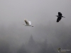 Filename=146_fotowilga~56.JPG
Filesize=166KB
Dimensions=700x525
Date added=Nov 17, 2019 146_fotowilga~56.JPG