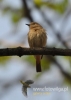 Filename=147_fotowilga~20.JPG
Filesize=62KB
Dimensions=343x480
Date added=Feb 22, 2016 147_fotowilga~20.JPG