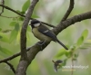 Filename=147_fotowilga~30.JPG
Filesize=69KB
Dimensions=576x480
Date added=Jul 25, 2016 147_fotowilga~30.JPG