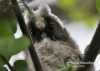 147_fotowilga~32.JPG