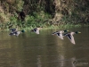 Filename=147_fotowilga~53.JPG
Filesize=270KB
Dimensions=700x525
Date added=Dec 11, 2017 147_fotowilga~53.JPG