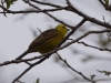 Filename=147_fotowilga~69.JPG
Filesize=206KB
Dimensions=700x525
Date added=Jun 30, 2019 147_fotowilga~69.JPG