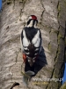 Filename=148_fotowilga~29.JPG
Filesize=84KB
Dimensions=360x480
Date added=Dec 11, 2016 148_fotowilga~29.JPG