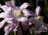 Filename=148_fotowilga~34.JPG
Filesize=88KB
Dimensions=640x475
Date added=Apr 05, 2017 148_fotowilga~34.JPG