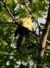 Filename=148_fotowilga~37.JPG
Filesize=276KB
Dimensions=520x700
Date added=Jul 30, 2017 148_fotowilga~37.JPG