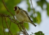 Filename=148_fotowilga~53.JPG
Filesize=228KB
Dimensions=700x500
Date added=Feb 09, 2019 148_fotowilga~53.JPG
