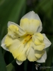 Filename=148_fotowilga~56.JPG
Filesize=216KB
Dimensions=525x700
Date added=May 21, 2019 148_fotowilga~56.JPG