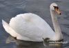 Filename=149_fotowilga~23.JPG
Filesize=87KB
Dimensions=640x448
Date added=Feb 15, 2016 149_fotowilga~23.JPG