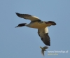 Filename=149_fotowilga~29.JPG
Filesize=51KB
Dimensions=576x480
Date added=Jun 23, 2016 149_fotowilga~29.JPG