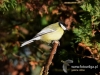 Filename=149_fotowilga~33.JPG
Filesize=90KB
Dimensions=640x480
Date added=Jan 08, 2017 149_fotowilga~33.JPG