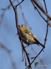 Filename=149_fotowilga~48.JPG
Filesize=217KB
Dimensions=525x700
Date added=Feb 09, 2018 149_fotowilga~48.JPG