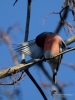 Filename=149_fotowilga~51.JPG
Filesize=244KB
Dimensions=525x700
Date added=Apr 28, 2018 149_fotowilga~51.JPG