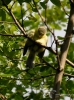 Filename=149_fotowilga~56.JPG
Filesize=293KB
Dimensions=519x700
Date added=Jan 23, 2019 149_fotowilga~56.JPG