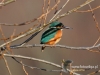 Filename=150_fotowilga~20.JPG
Filesize=92KB
Dimensions=640x480
Date added=Mar 30, 2016 150_fotowilga~20.JPG