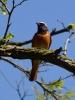 Filename=150_fotowilga~43.JPG
Filesize=248KB
Dimensions=525x700
Date added=May 01, 2018 150_fotowilga~43.JPG