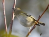 Filename=150_fotowilga~54.JPG
Filesize=260KB
Dimensions=700x525
Date added=Oct 18, 2019 150_fotowilga~54.JPG