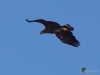 Filename=151_fotowilga~51.JPG
Filesize=201KB
Dimensions=700x525
Date added=May 24, 2019 151_fotowilga~51.JPG