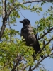 Filename=152_fotowilga~24.JPG
Filesize=329KB
Dimensions=525x700
Date added=Feb 27, 2019 152_fotowilga~24.JPG