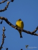 Filename=152_fotowilga~42.JPG
Filesize=196KB
Dimensions=525x700
Date added=Jan 06, 2018 152_fotowilga~42.JPG