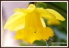 Filename=152_fotowilga~5.JPG
Filesize=99KB
Dimensions=720x506
Date added=May 12, 2014 152_fotowilga~5.JPG