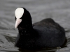 Filename=152_fotowilga~51.JPG
Filesize=174KB
Dimensions=700x525
Date added=May 08, 2019 152_fotowilga~51.JPG