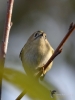 Filename=152_fotowilga~55.JPG
Filesize=249KB
Dimensions=525x700
Date added=Oct 18, 2019 152_fotowilga~55.JPG