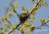 Filename=152_fotowilga~8.JPG
Filesize=102KB
Dimensions=640x452
Date added=Mar 15, 2015 152_fotowilga~8.JPG