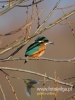 Filename=153_fotowilga~22.JPG
Filesize=71KB
Dimensions=360x480
Date added=Dec 18, 2015 153_fotowilga~22.JPG