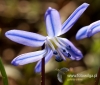 Filename=153_fotowilga~37.JPG
Filesize=86KB
Dimensions=560x480
Date added=Mar 20, 2017 153_fotowilga~37.JPG