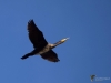 Filename=153_fotowilga~48.JPG
Filesize=165KB
Dimensions=700x525
Date added=Jan 30, 2018 153_fotowilga~48.JPG