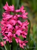 Filename=153_fotowilga~56.JPG
Filesize=273KB
Dimensions=525x700
Date added=May 28, 2019 153_fotowilga~56.JPG