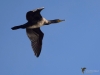 Filename=155_fotowilga~45.JPG
Filesize=191KB
Dimensions=700x525
Date added=Jan 23, 2018 155_fotowilga~45.JPG
