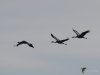 Filename=155_fotowilga~48.JPG
Filesize=138KB
Dimensions=700x525
Date added=Mar 17, 2018 155_fotowilga~48.JPG