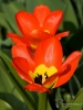 Filename=156_fotowilga~50.JPG
Filesize=228KB
Dimensions=525x700
Date added=May 28, 2019 156_fotowilga~50.JPG