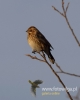 Filename=157_fotowilga~37.JPG
Filesize=39KB
Dimensions=384x480
Date added=Jan 05, 2018 157_fotowilga~37.JPG