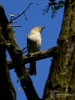 Filename=157_fotowilga~45.JPG
Filesize=210KB
Dimensions=525x700
Date added=Mar 09, 2019 157_fotowilga~45.JPG