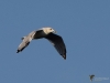 Filename=157_fotowilga~54.JPG
Filesize=184KB
Dimensions=700x525
Date added=Aug 07, 2019 157_fotowilga~54.JPG
