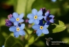 Filename=157_fotowilga~6.JPG
Filesize=106KB
Dimensions=720x493
Date added=May 15, 2014 157_fotowilga~6.JPG